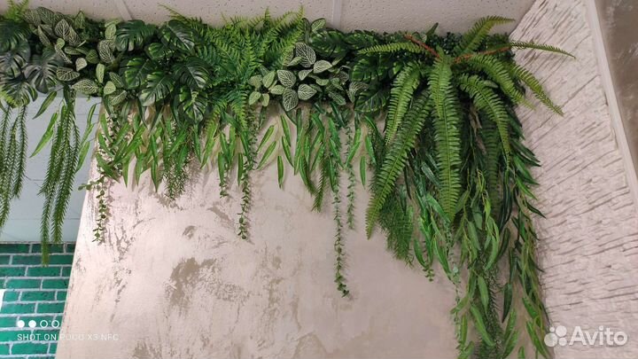 Деревья Фитостены и озеленение интерьера