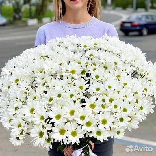 Хризантема Букеты доставка цветов