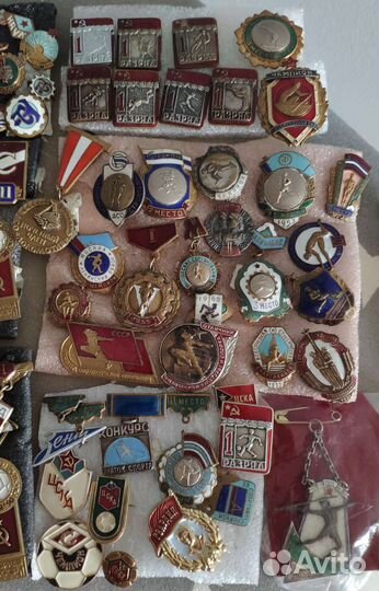 Дсо, спортклуб Спартак, Динамо, Локомотив-Торпедо