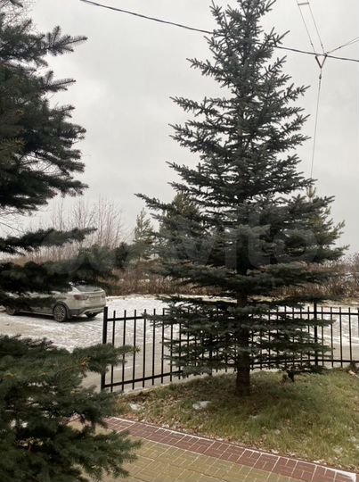 Свободного назначения, 162.5 м²