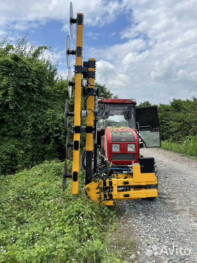 Обрезчик садовый S 6