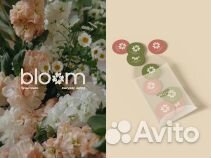 Графический дизайнер / дизайн / упаковка бренда