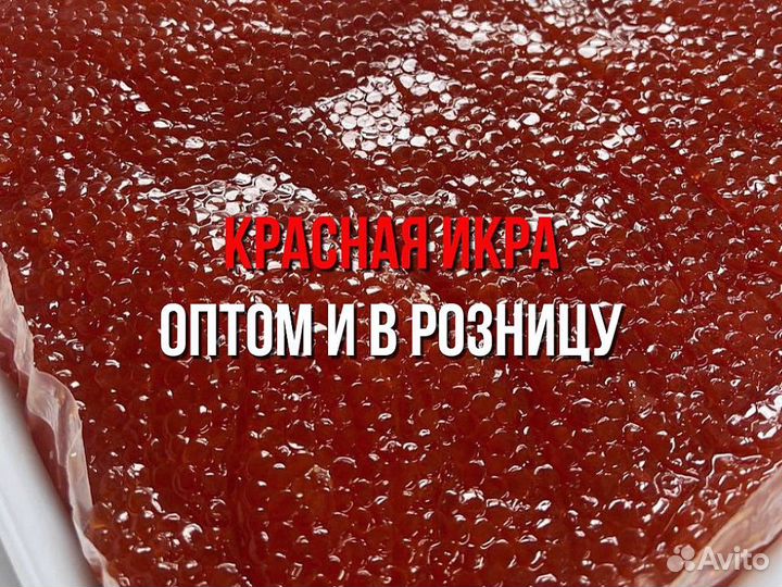 Икра Кеты опт