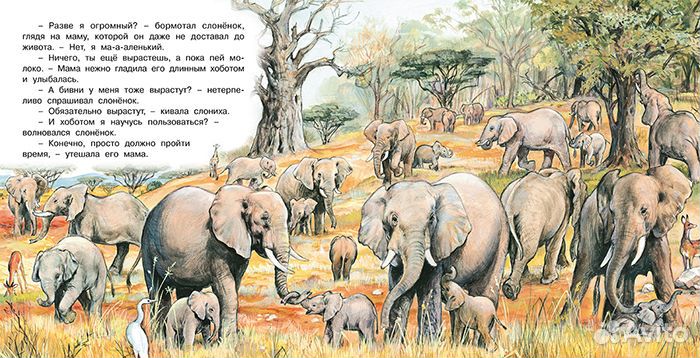 Книги о животных для дошкольного чтения