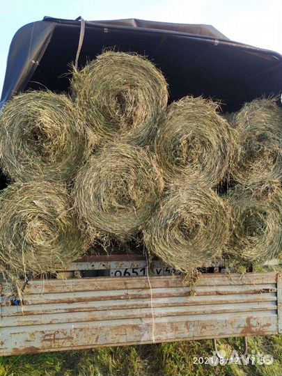 Сено в рулонах с доставкой