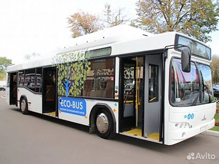 Водитель на автобус категории Д, бесплатное жилье