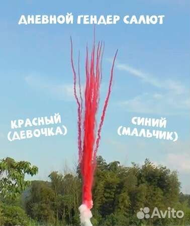 Гендерный салют