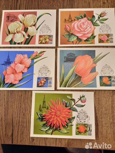 Картмаксимумы 