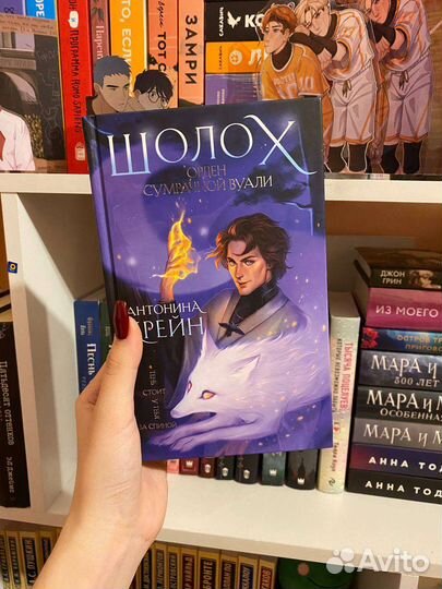 Книга «Шолох. Орден сумрачной вуали»