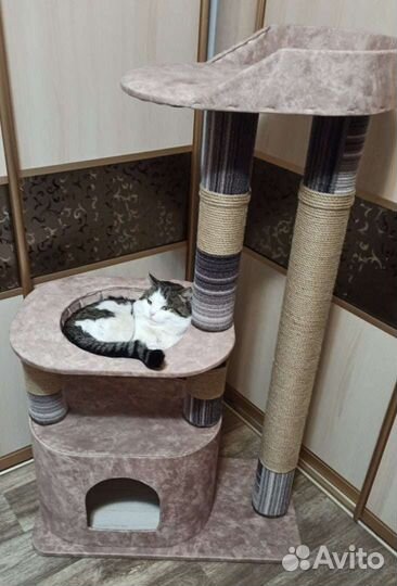 Когтеточки, домики для кошек В наличии И подзаказ