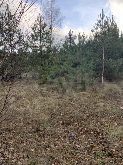 Участок 10 сот. (ИЖС)