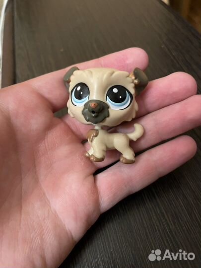 Littlest Pet Shop