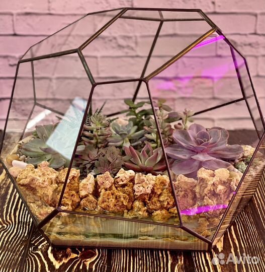 Флорариум «Энке»