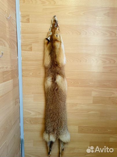 Шкура лисы