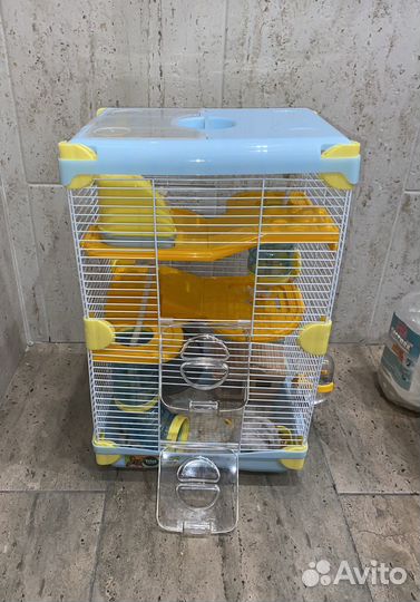 Хомяки с клеткой, два хомяка, грызуны, клетка