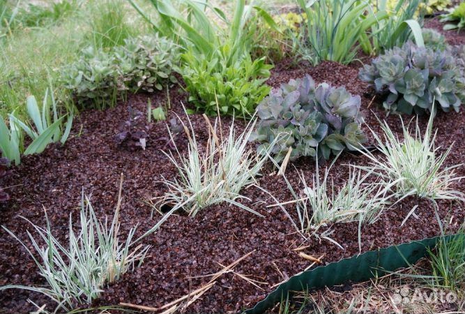 Шелуха гречихи(гречневая,гречки)