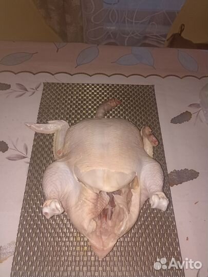 Курица домашняя бройлер