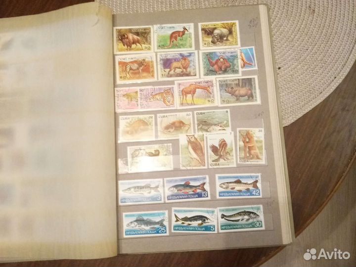 Альбом животные разные страны 10страниц