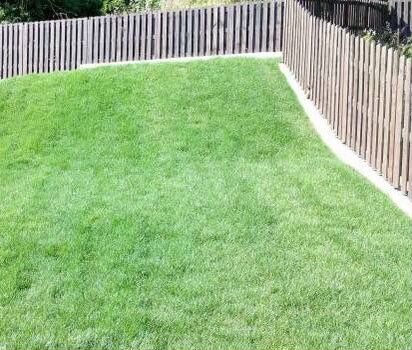 Участок 8 сот. (СНТ, ДНП)