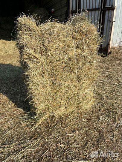 Сено в тюках от изготовителя (И в наличии Сеяное)