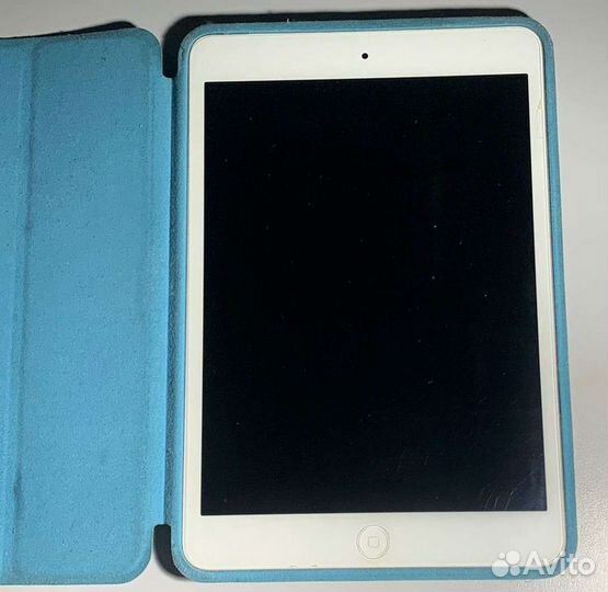 iPad mini A1455
