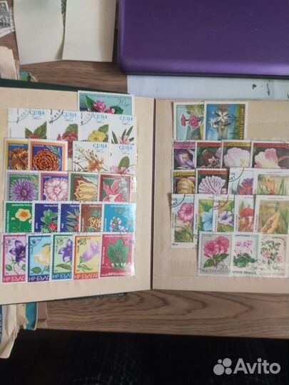 Марки, посвященные цветам