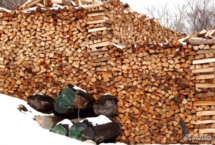 Дрова в область