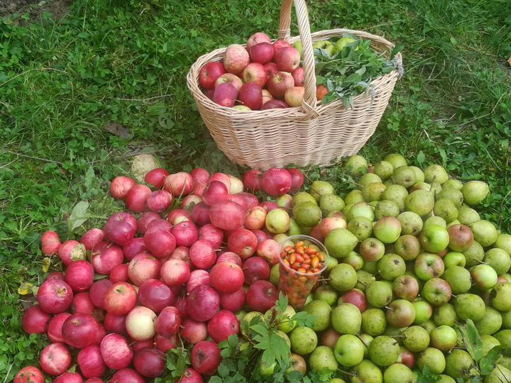 Участок 20 сот. (ИЖС)