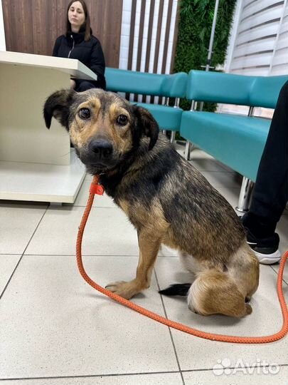 Тэя ищет дом