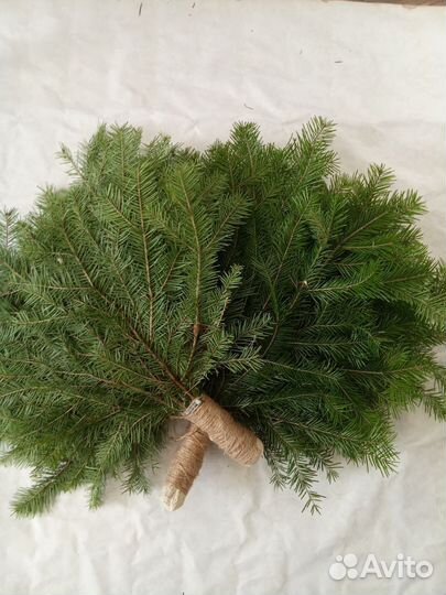 Можжевеловые пихтовое веники для банить в коробке