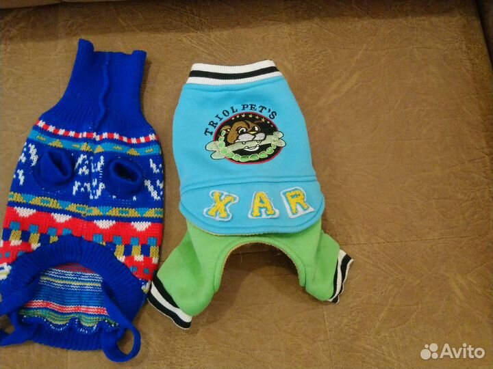 Одежда на маленькую собаку