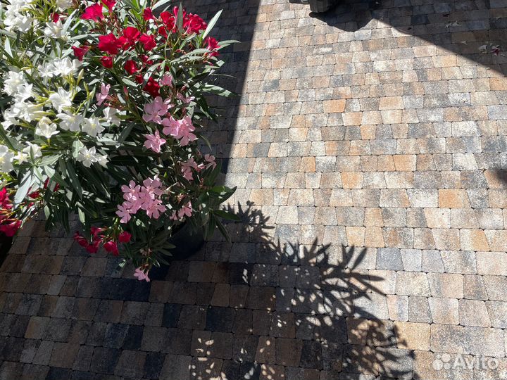 Тротуарная плитка антик 4см от производителя