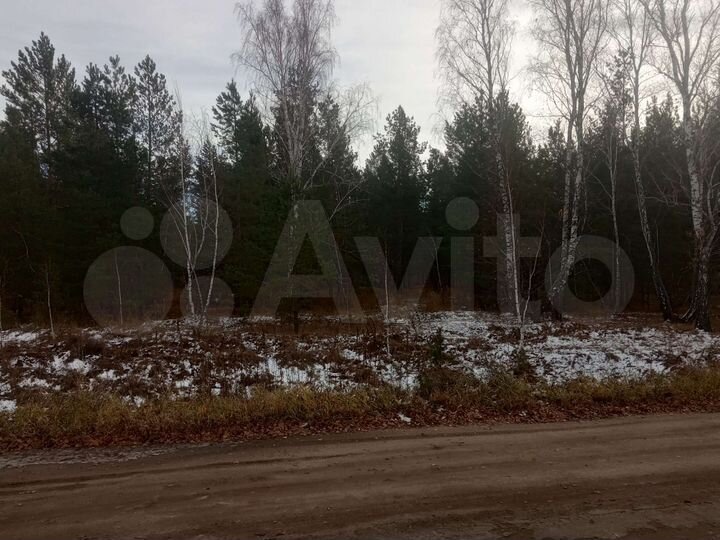 Участок 15,5 сот. (ИЖС)