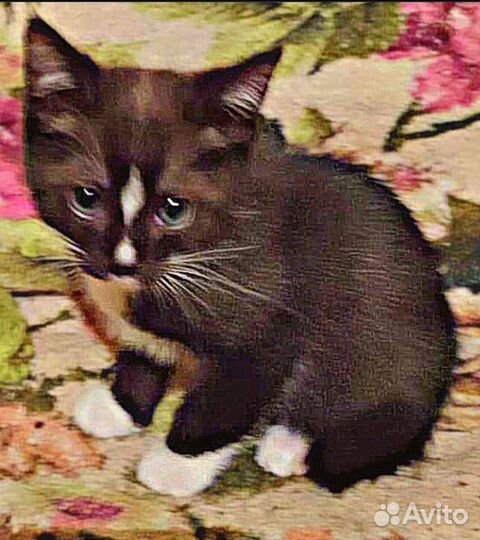 Выкинули кроху