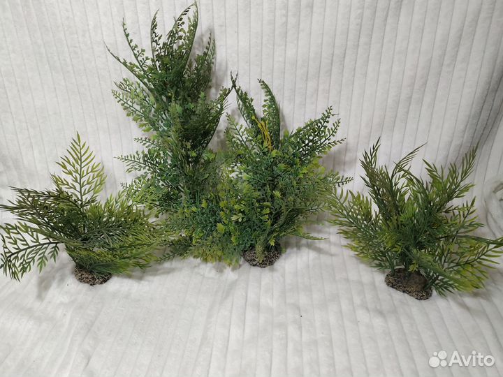 Золотая рыбка ранчу, грот, иск. растения