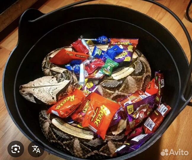 Ведро с конфетами