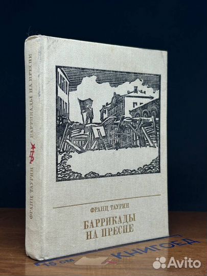 Баррикады на Пресне. Повесть о Зиновии Литвине-Сед