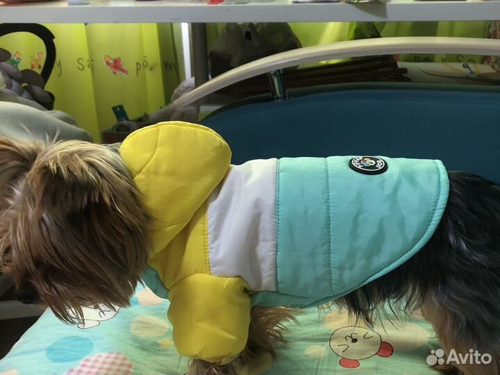 Куртка дл собаки S