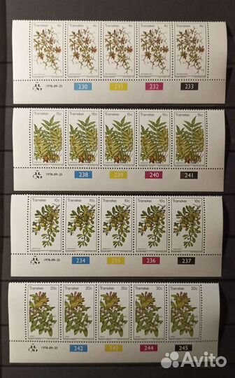 Почтовые марки, флора Южной Африки, Транскей