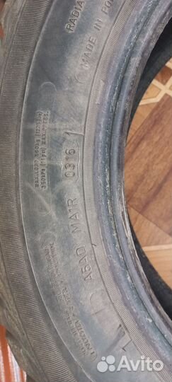 Sava Eskimo Stud 185/65 R15