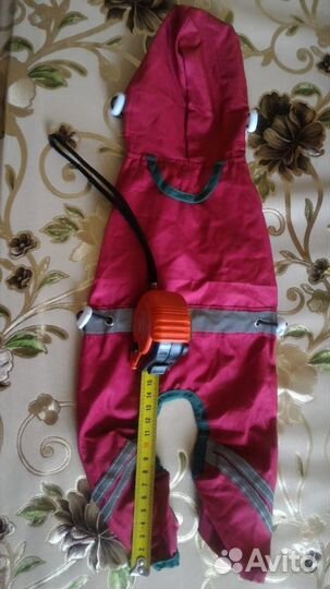 Одежда для животных