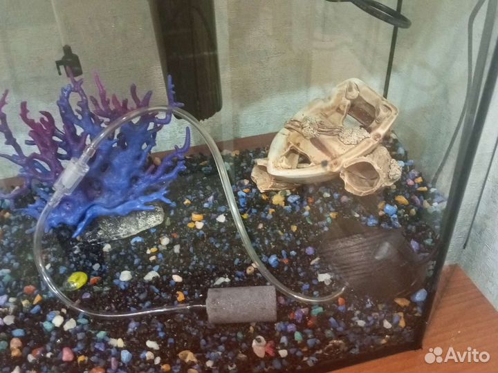 Аквариум