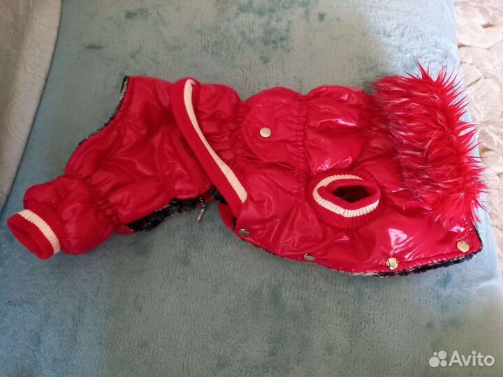 Комбинезон для маленькой собачки