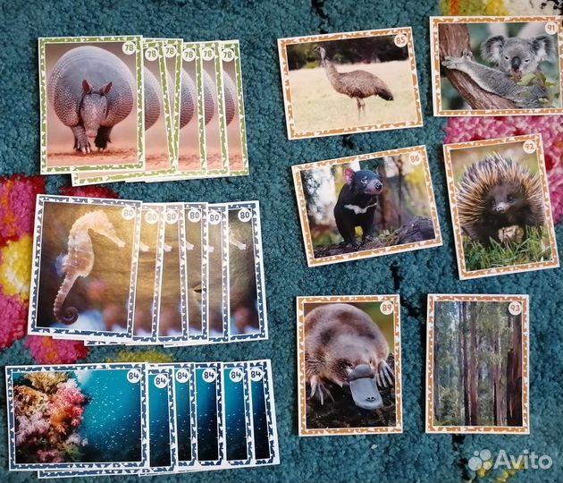 Наклейки монетка Живая природа