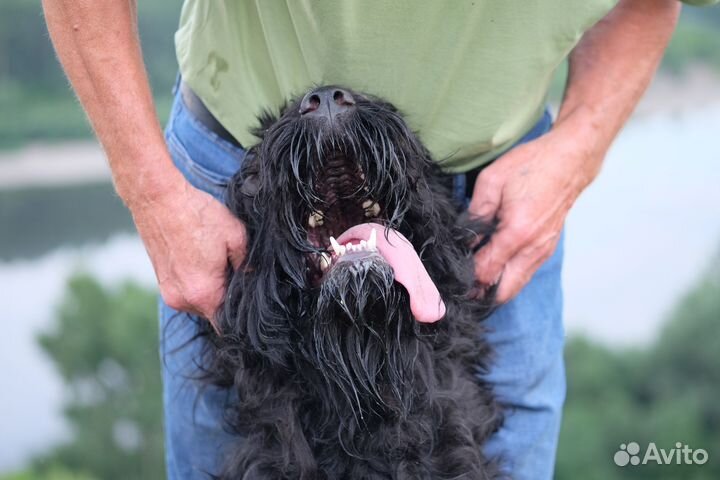 Начинающий фотограф