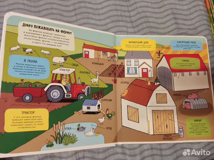 Энциклопедии про животных для малышей