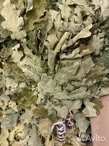 Дубовые веники для бани