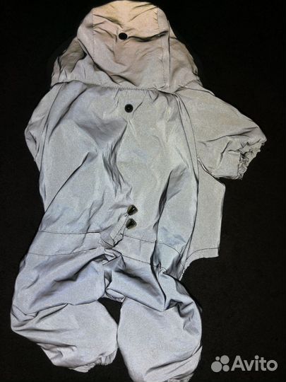 Комбинезон для маленькой собаки