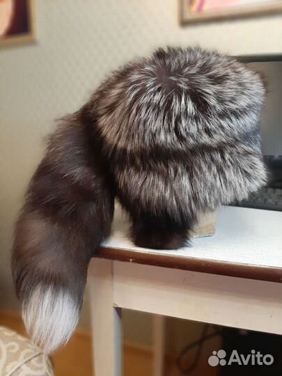 Меховая шапка