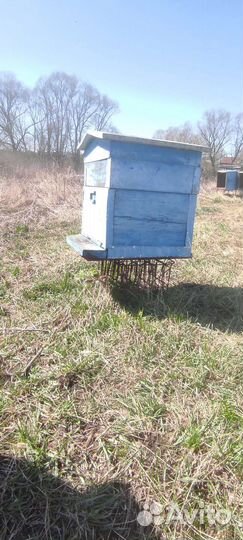 Улья дадан и подставки